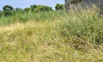 Imagem: Terreno a Venda no Monte Líbano, Tingui