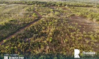 Imagem 5: Fazenda de dupla aptidão com aproveitamento de 70% no vale do Araguaia - TO