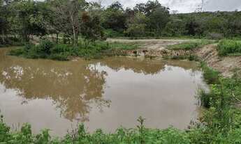 Imagem 3: Terra Boa, fazendinha rural com 20.000m2 em Fortuna de Minas ! Agende sua visita !