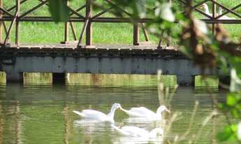 Imagem 5: Terreno à venda, 1500 m² por R$ 1.060.000,00 - Paragem dos Verdes Campos - Gravataí/RS
