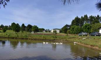 Imagem 2: Chácara/ sitio/ área a venda quatro barra