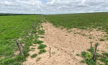 Imagem 4: Fazenda à venda, 7200000 m² por R$ 4.200.000,00 - Zona Rural - Pedro Afonso/TO