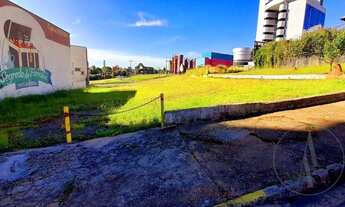 Imagem 2: PARQUE CAMPOLIM - ÁREA COMERCIAL - COM ALTA VISIBILIDADE