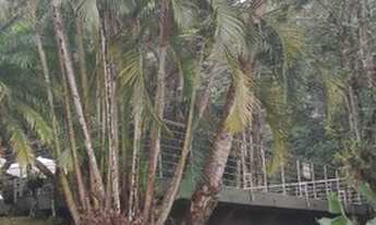 Imagem 4: Lindo duplex , vista para o mar, em Jurerê