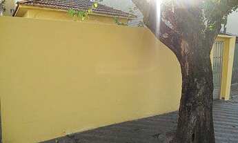 Imagem 3: Terreno residencial à venda, Santa Maria, São Caetano do Sul