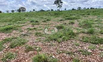 Imagem 3: Fazenda em Cristalândia- TO
