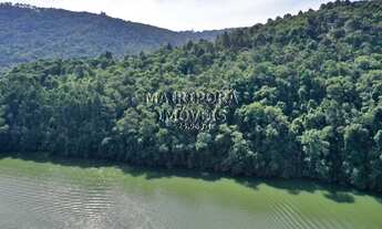 Imagem: Para os amantes da Natureza