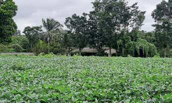 Imagem: Sítio 12 Hectares Capão Seco Paranoá