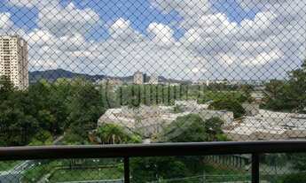 Imagem 7: BARUERI - Padrão - Alphaville Centro