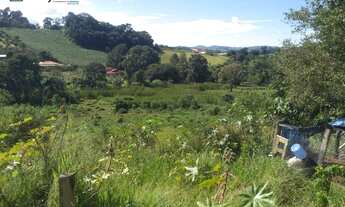 Imagem 3: Excelente chácara a venda na cidade de Socorro, interior de São Paulo, com área total de 8