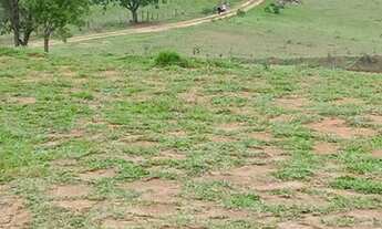 Imagem 7: Igaratá aqui seu sonho de adquirir lote se realiza