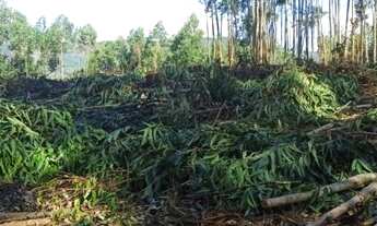 Imagem 2: 15- Lote/Terreno para venda com 1000 metros quadrados em Jacareí - Igaratá - São Paulo