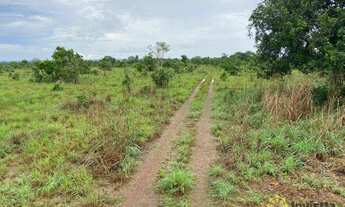 Imagem 4: Fazenda à venda, 1.100 Hectares em Araguacema do Tocantins