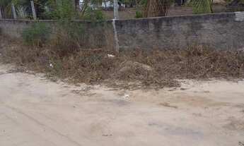 Imagem 7: Granja em Macaíba