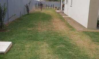 Imagem 6: Casa para venda em chapada