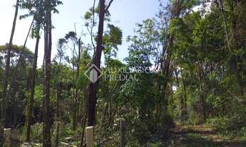 Imagem 4: GRAMADO - Terreno Padrão - Centro