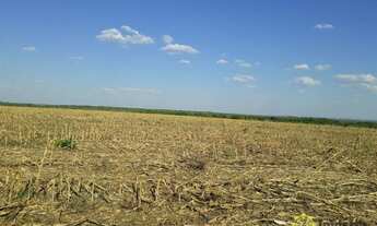 Imagem: Fazenda à venda, 4.800 Hectares em Goianorte/TO