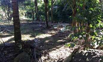 Imagem 2: Dois lotes Terreno / lote com venda por R$115.000