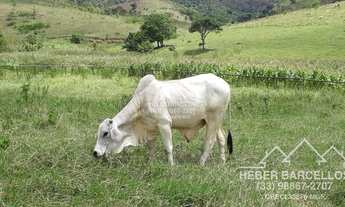 Imagem 2: Pescador - Fazenda - Zona Rural Pescador