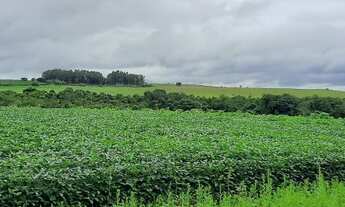Imagem 4: Sítio 12 Hectares Capão Seco Paranoá !!! 1.000.000 !!!