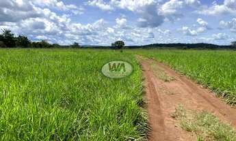 Imagem: Fazenda ótima para duplas aptidões