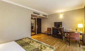 Imagem: Flat Blue Tree Premium Verbo Divino disponível