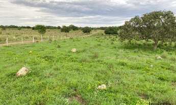 Imagem 5: Fazenda à venda, 400 Hectares em Miracema do Tocantins/TO