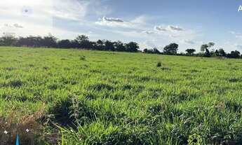 Imagem 6: Fazenda aberta à venda, 1.700 Hectares em Miranorte do Tocantins