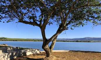 Imagem 3: Loft à venda-condominio- heliponto- Zona Rural - Delfinópolis/MG