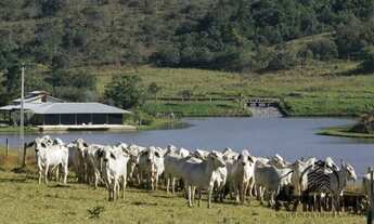 Imagem: LINDA FAZENDA A 55MIN. DE GOIÂNIA - GO