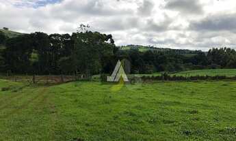 Imagem 3: SÍTIO DE 20 ALQUEIRES