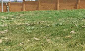 Imagem 4: TERRENO PLANO 468 M2 - ALPHAVILLE 4 - VOTORANTIM - SP