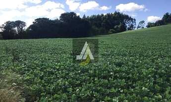 Imagem 5: SÍTIO DE 20 ALQUEIRES