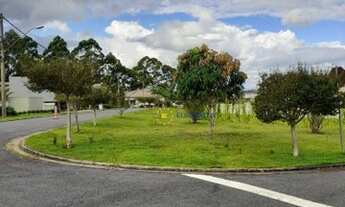 Imagem 5: Lote em condomínio - Árvores