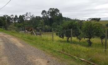 Imagem 7: Terreno à venda, 1748 m² por R$ 265.000,00 - Recanto da Corcunda - Gravataí/RS