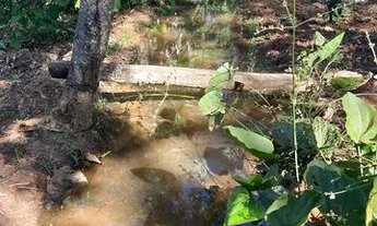 Imagem 4: Casa para venda tem 1.800 metros quadrados em Serra Azul - Mateus Leme - MG