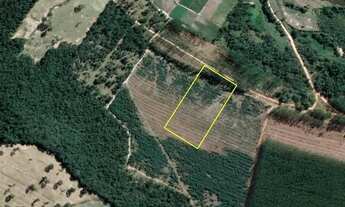 Imagem: Mateus Leme/MG - Fazendinha da Mangueira