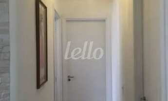 Imagem 7: São Paulo - Apartamento Padrão - Cambuci