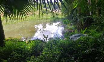 Imagem 4: SÍTIO RICO EM ÁGUA COM 48.000 MTS - CÓD.: 695