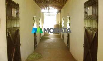 Imagem 2: MATEUS LEME - Fazenda - Zona Rural