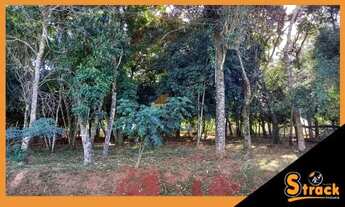 Imagem: SãO LEOPOLDO - Terreno Padrão - Santo