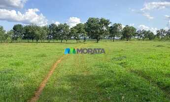 Imagem 5: CURVELO - Fazenda - Zona Rural