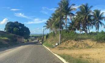 Imagem 4: Lotes no Bairro Retiro Junqueiro/AL