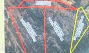 Imagem 1: Fazenda em Mato Grosso