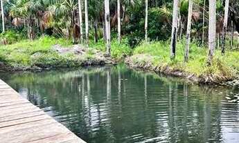 Imagem: TERRENO RURAL NO KM 42