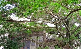 Imagem 7: Apartamento 2 dormitórios à venda, bairro Camaquã, Porto Alegre, RS