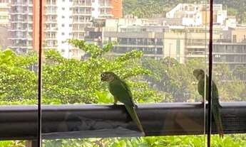 Imagem 4: Cobertura para venda com 324 metros quadrados com 4 quartos, 2 vagas - Lagoa