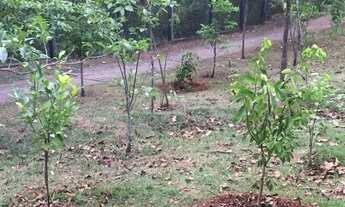 Imagem 3: CASA RESIDENCIAL em SANTANA DE PARNAÍBA - SP, ALPHAVILLE