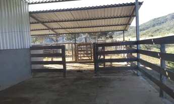 Imagem 6: Fazenda em Burtis MG a venda um oasis rural 33 alqueires