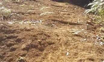 Imagem 2: Vendo terreno em aclive